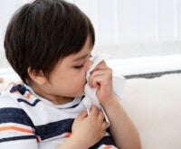 House Dust Mite Induced Allergic Rhinitis
