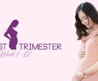 First trimester of pregnancy