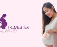 Third trimester pregnancy