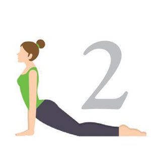 Cobra_pose